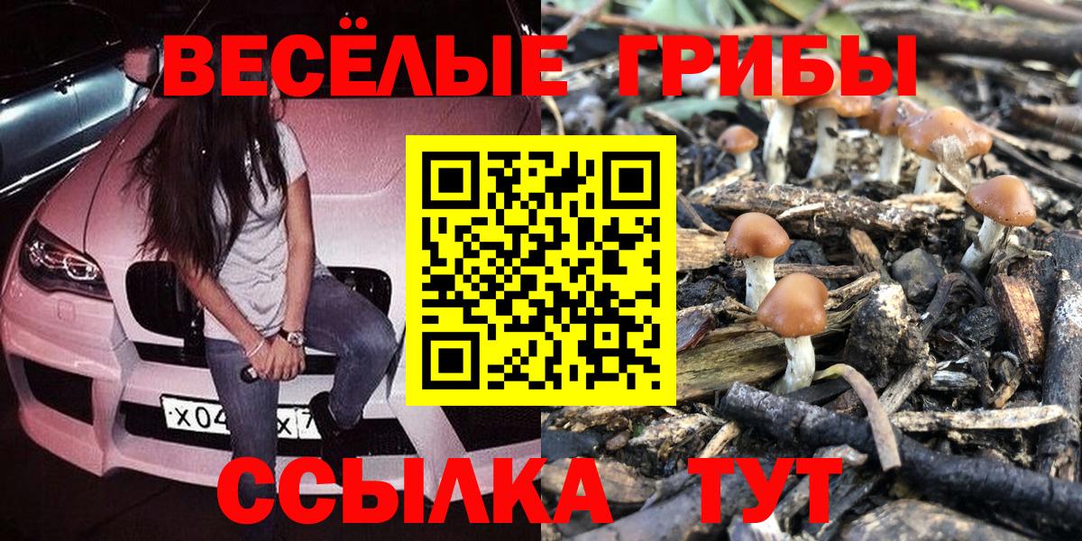Галлюциногенные грибы MAGIC MUSHROOMS  Галлюциногенные грибы прущие грибы  Вход с VPN  Нальчик 