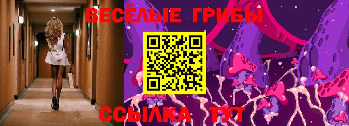 Псилоцибиновые грибы мицелий Нальчик
