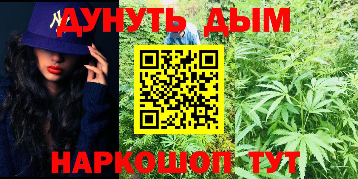 Конопля планчик Нальчик